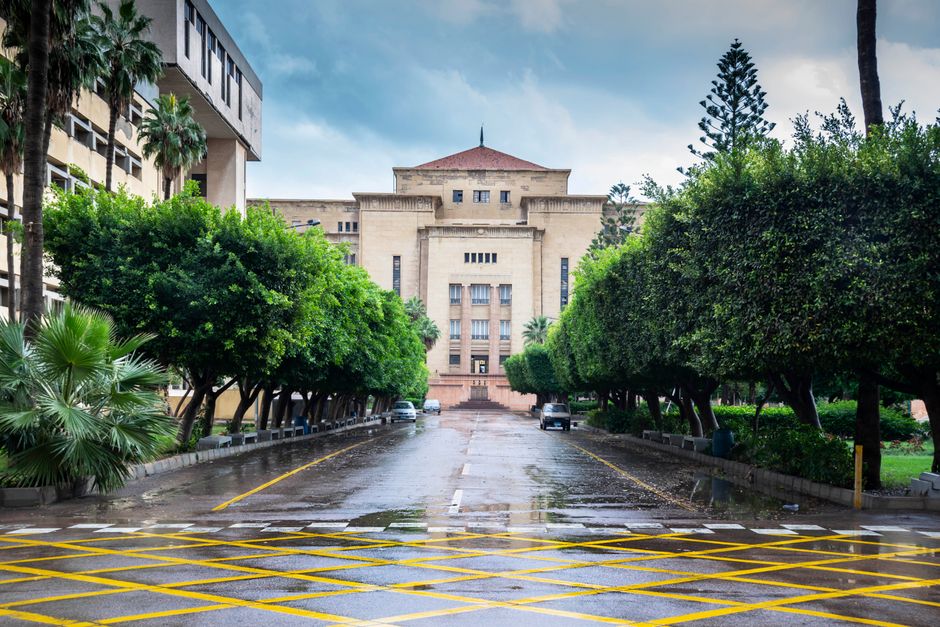 Beautiful view of a tree-lined drive leading to a historic building in Alexandria, Egypt. Beautiful view of a tree-lined drive leading to a historic building in Alexandria, Egypt.