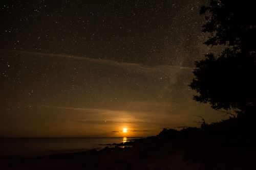 Free Stunning night seascape with starry sky and moonlight reflecting on the ocean. Stock Photo