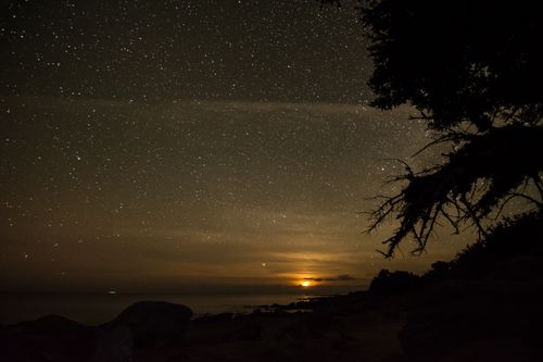 Free Serene view of a starry night sky over a peaceful sea with silhouetted trees. Stock Photo