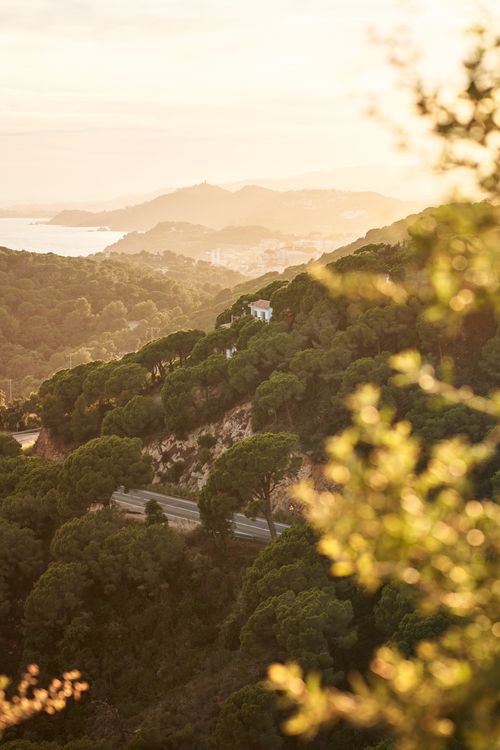 Free Serene view of a mountain landscape bathed in warm sunlight, featuring lush greenery and a winding road. Stock Photo