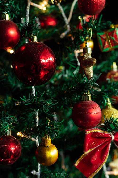 Red And White Christmas Balls Hanging oOn Christmas Tree · Free Stock Photo