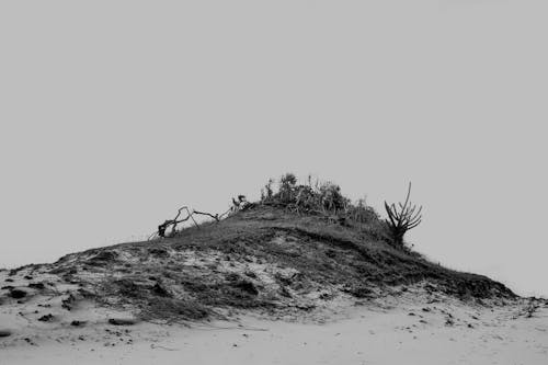 Foto profissional grátis de areia, black and white, escala de cinza