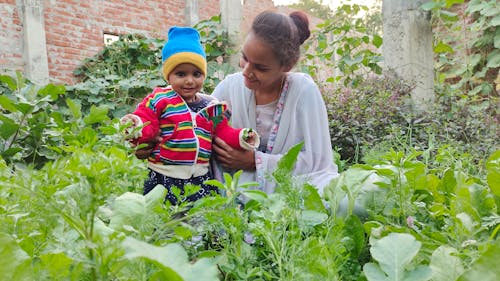 Gratis stockfoto met moestuin