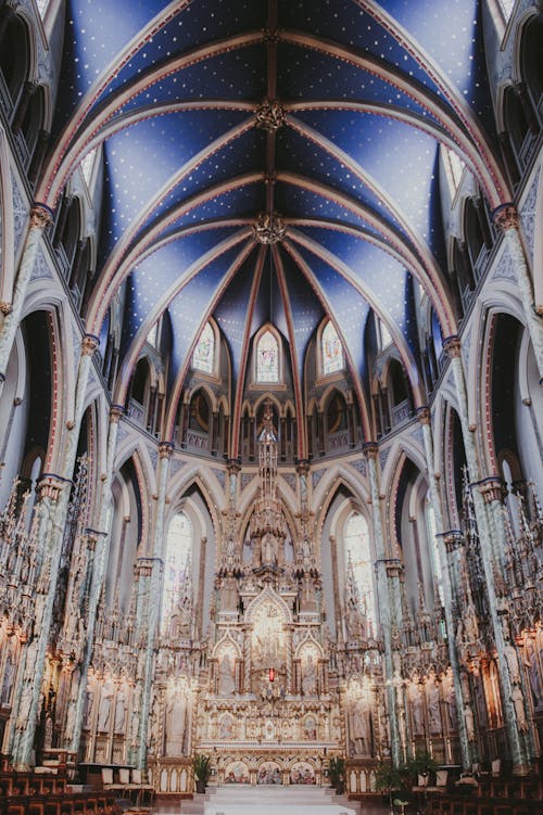 Безкоштовне стокове фото на тему «арки, архітектура відродження готики, базиліка собору Нотр-Дам» стокове фото