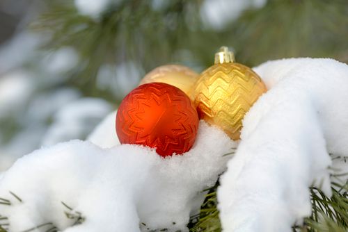 Free Red and gold Christmas baubles nestled in snowy pine branches, capturing winter spirit. Stock Photo