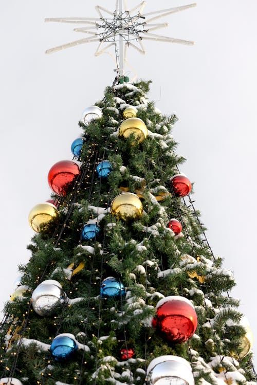 Foto profissional grátis de abeto, acessórios, árvore de Natal