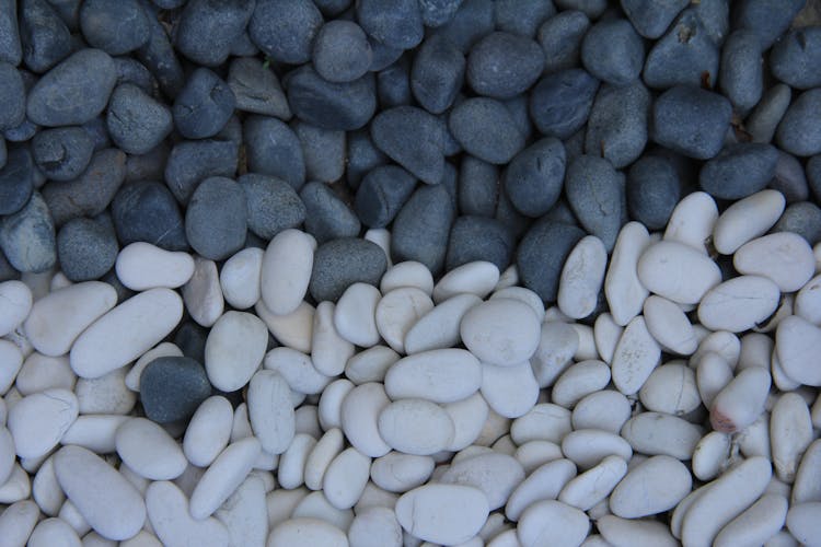 White And Gray Pebbles In Close-up Photography