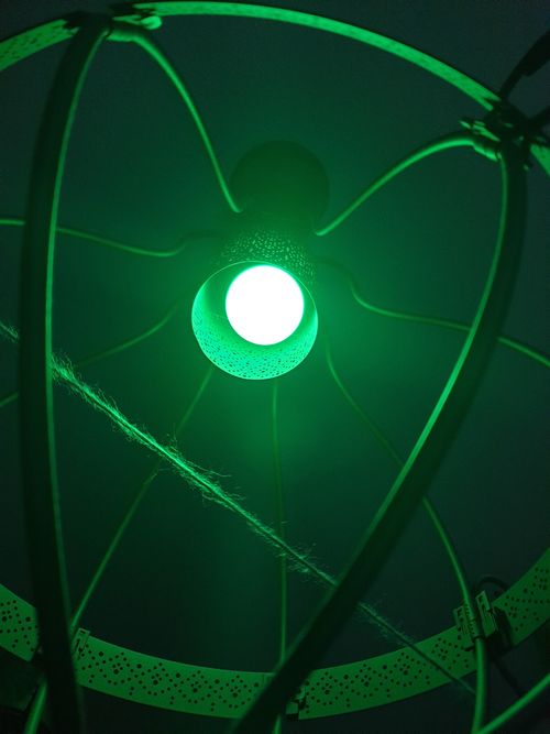Free stock photo of aesthetic, green, green light Stock Photo