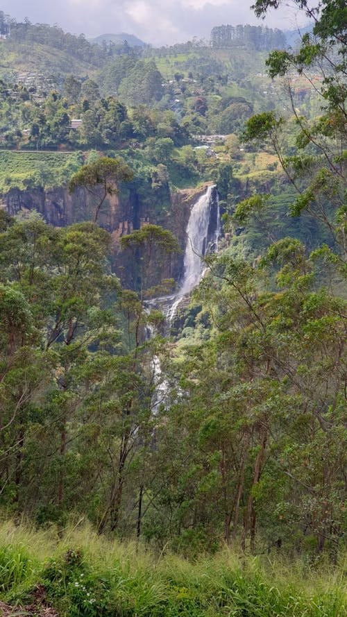 Free stock photo of beauty of nature, sri lanka, waterfall Stock Photo