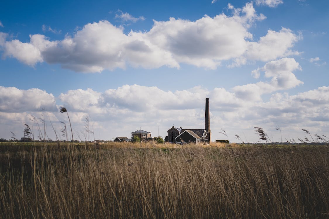 Brown Grass Field Under the Cloudy Sky 