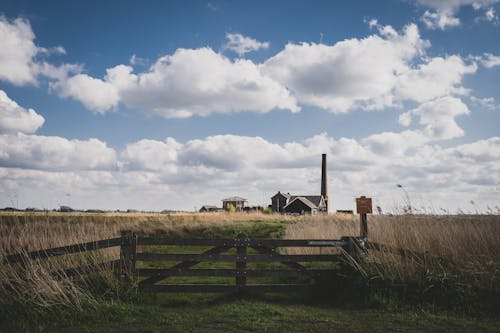 Photos gratuites de ciel bleu, clairière, clôture en bois