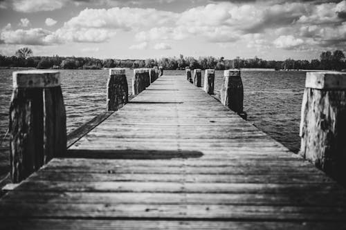 Grayscale Photo of Wooden Dock