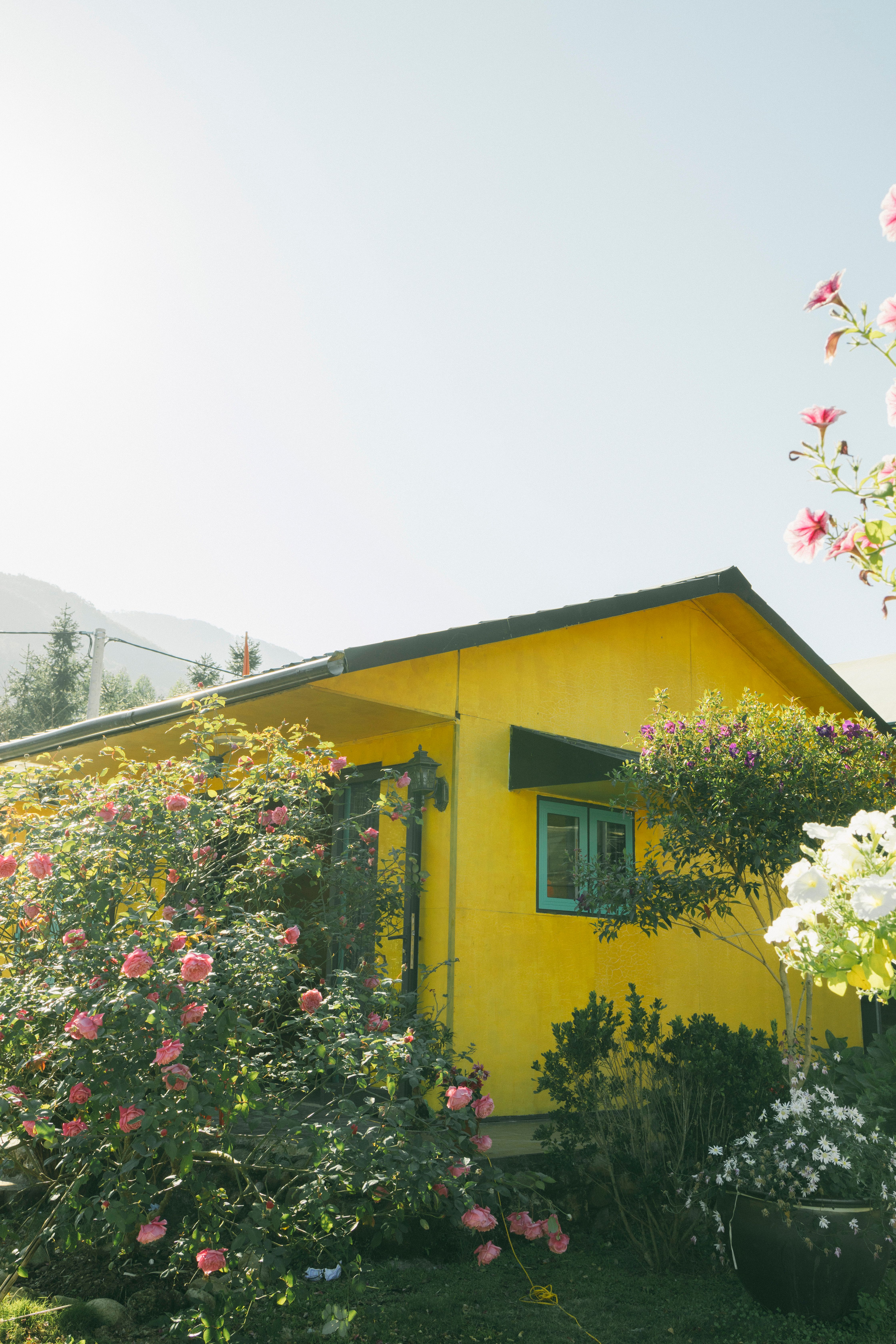 A bright yellow house surrounded by a lush garden of blooming flowers, creating a serene outdoor scene.
