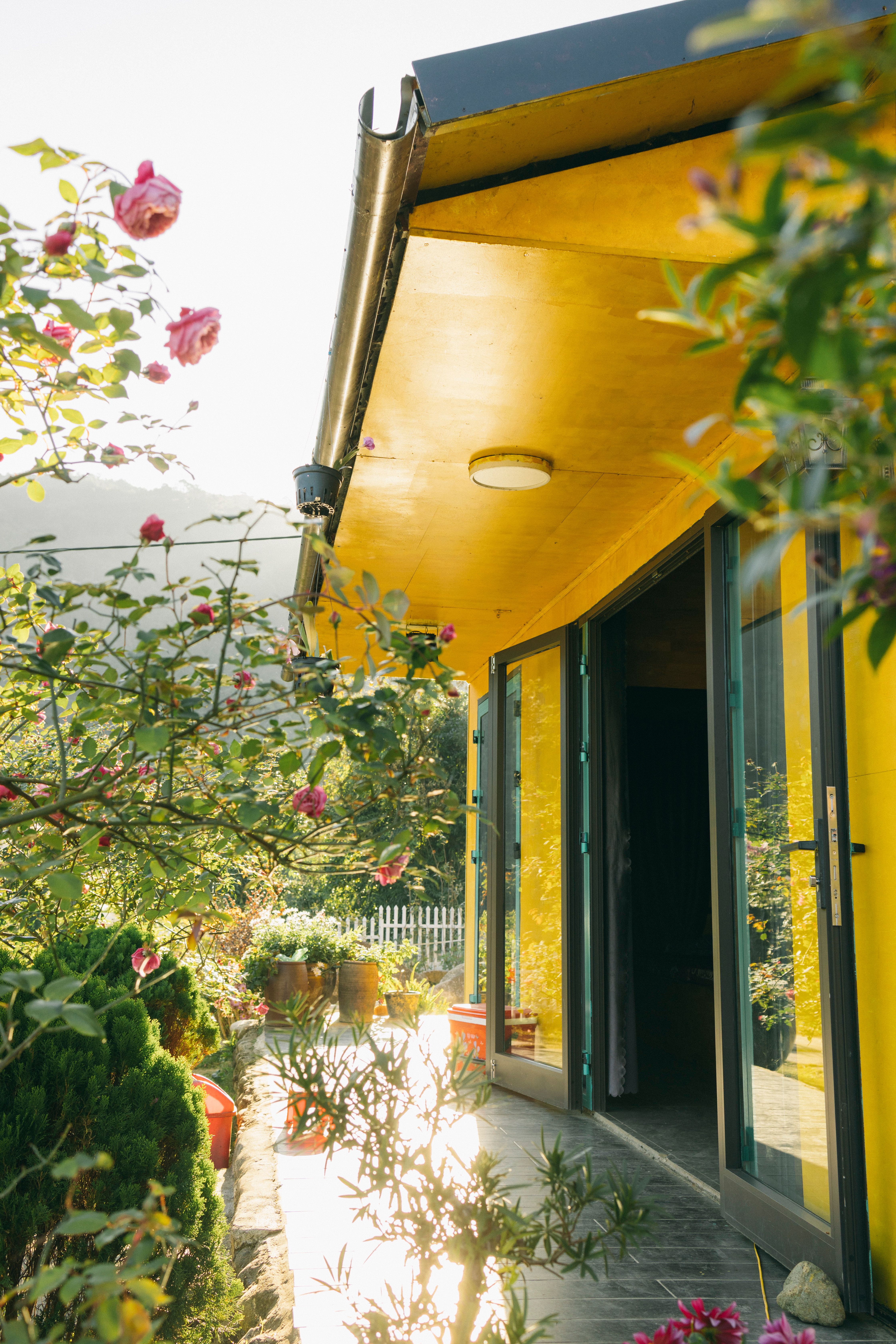 Beautiful garden patio with open glass door and yellow wall, ideal for tranquil moments.