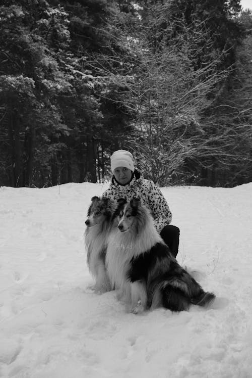 Grayscale Photo of Dogs and a Person on Snow Covered Ground