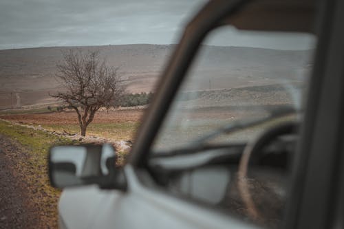 Free Car Window View of Bare Trees Stock Photo