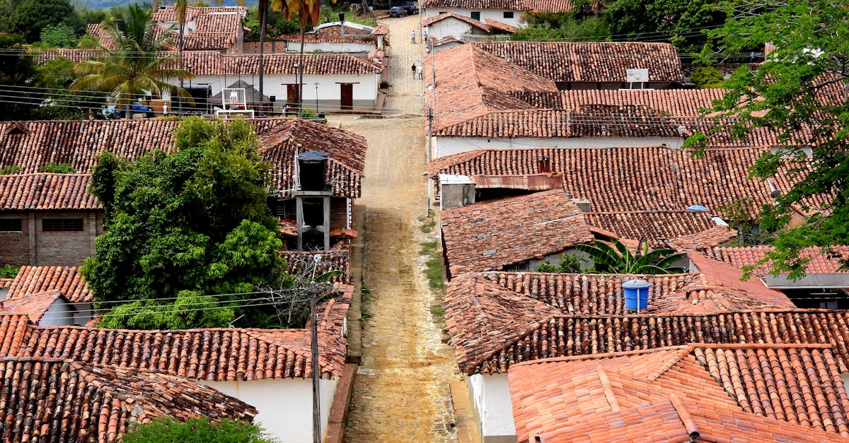 Aerial View of Houses in a Rural Area · Free Stock Photo