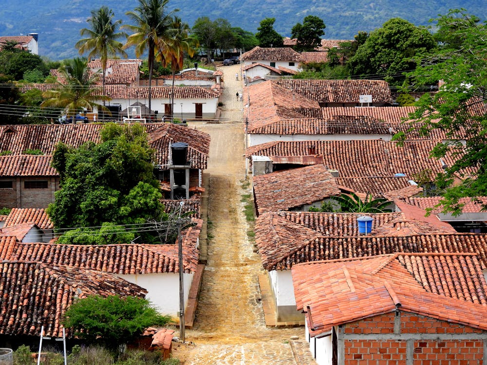 Aerial View of Houses in a Rural Area