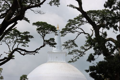 Free The iconic Ruwanweli Maha Seya stupa framed by tree branches in Anuradhapura, Sri Lanka. Stock Photo