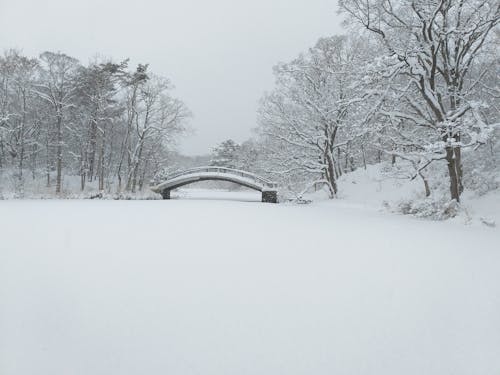 ブリッジ, 冬, 雪の無料の写真素材