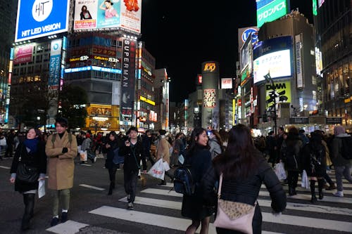 夜の街, 東京, 渋谷区の無料の写真素材