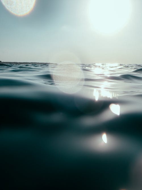 Reflections on the Water Surface