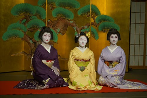 日本, 着物, 芸者の無料の写真素材