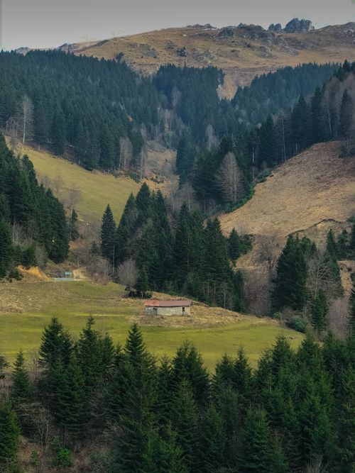 Free Breathtaking mountain valley view with lush pine forests and a secluded cabin in Türkiye. Stock Photo