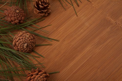 Close-Up Shot of Pine Cones on a Wooden Surface