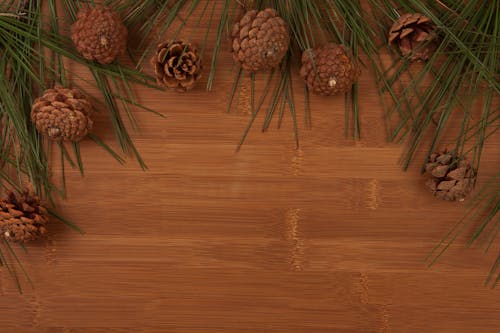 Close-Up Shot of Pine Cones on a Wooden Surface