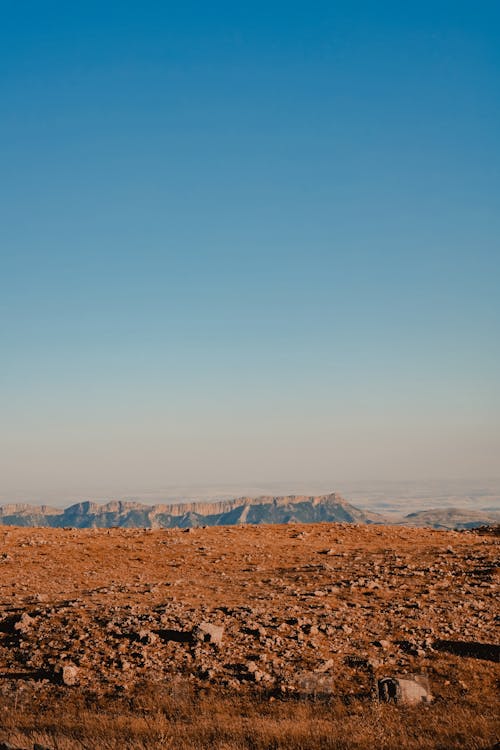 A Rocky Field