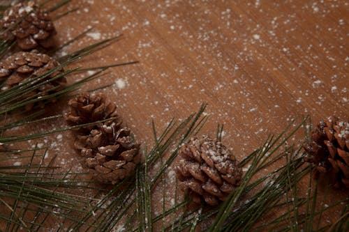 Close-Up Shot of Pine Cones on a Wooden Surface