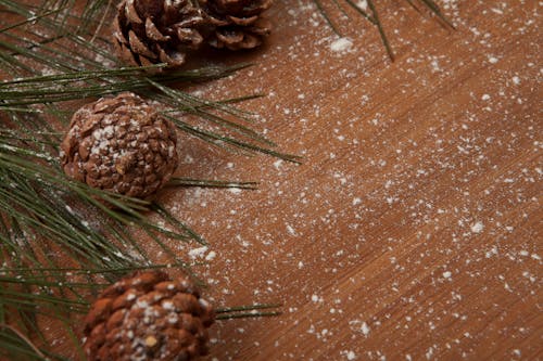 Close-Up Shot of Pine Cones on a Wooden Surface