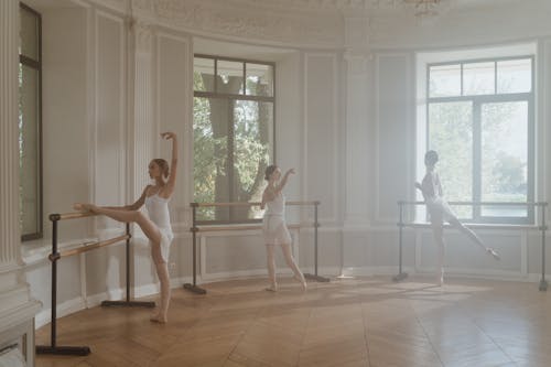 Kostnadsfri bild av balett, ballettdansare, full skott