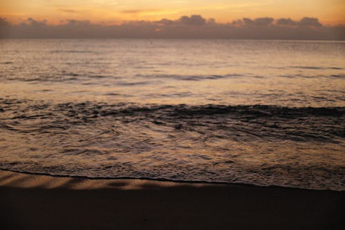 Безкоштовне стокове фото на тему «берег моря, вода, золота година»