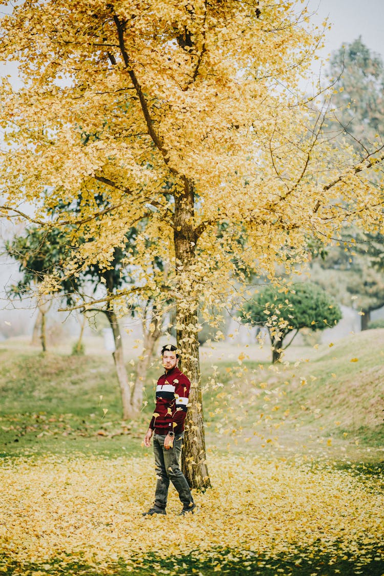 Man Standing Under Maidenhair Tree