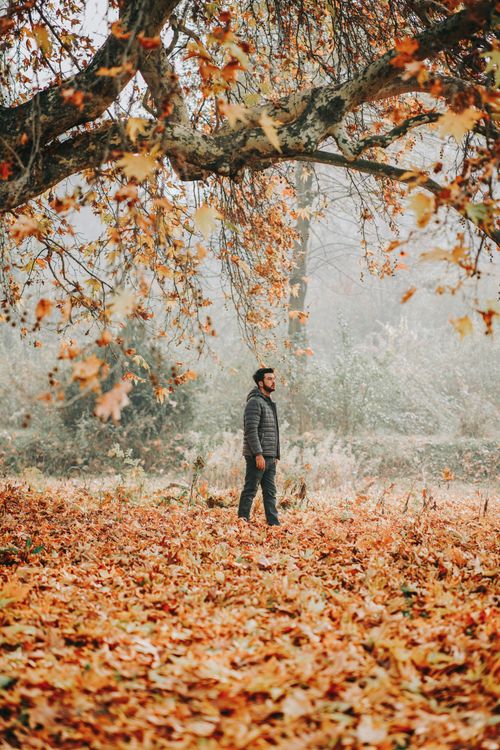 Free A man stands in a park surrounded by vibrant autumn leaves and trees. Stock Photo
