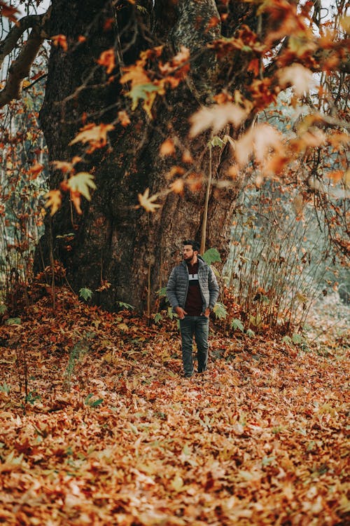 Man in Gray Coat Standing Beside Tree in Fallen Leaves