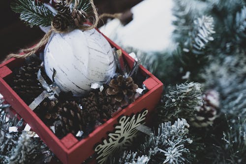 Foto profissional grátis de arca, bola de Natal, casquinhas