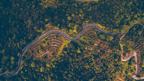 無料 森の横の道路の航空写真 写真素材
