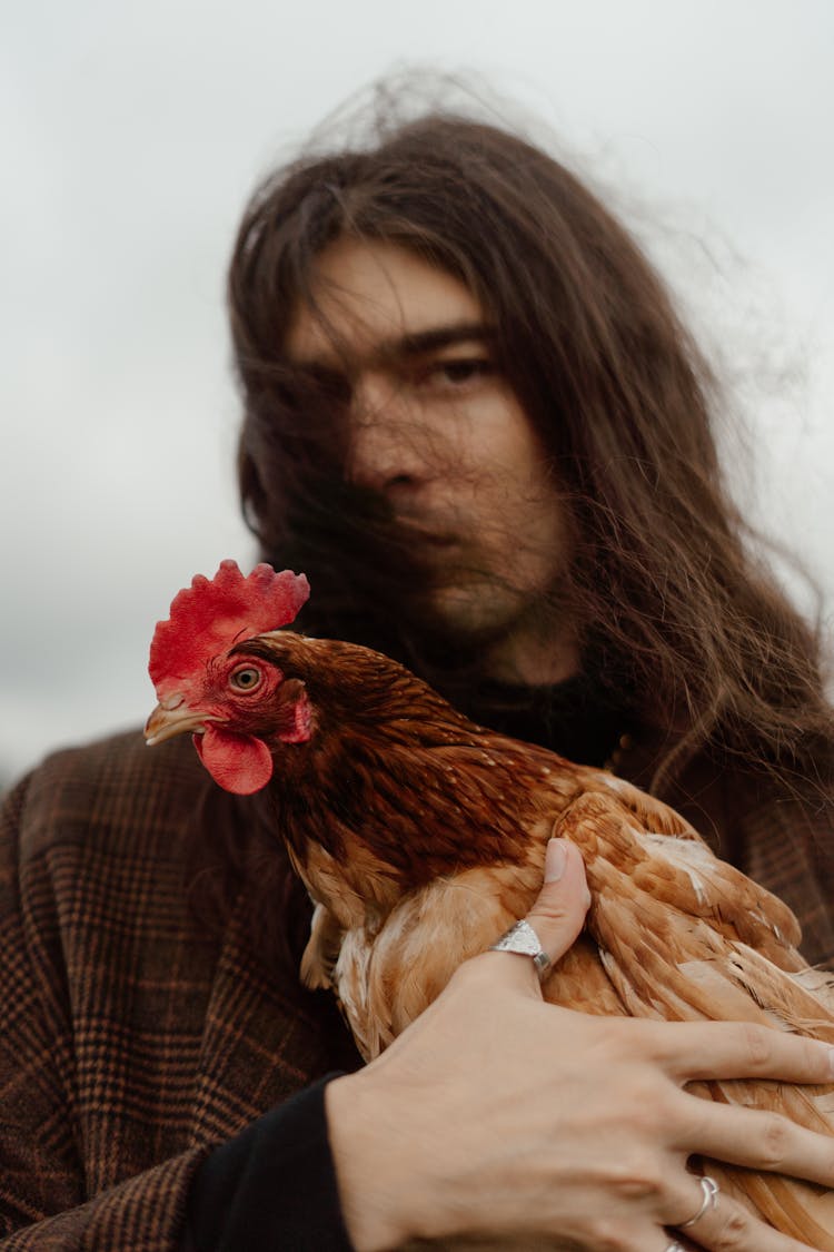 Long Haired Man Holding A Brown Chicken 