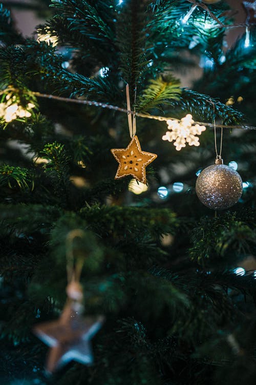 Close-Up Shot of Christmas Balls on a Christmas Tree