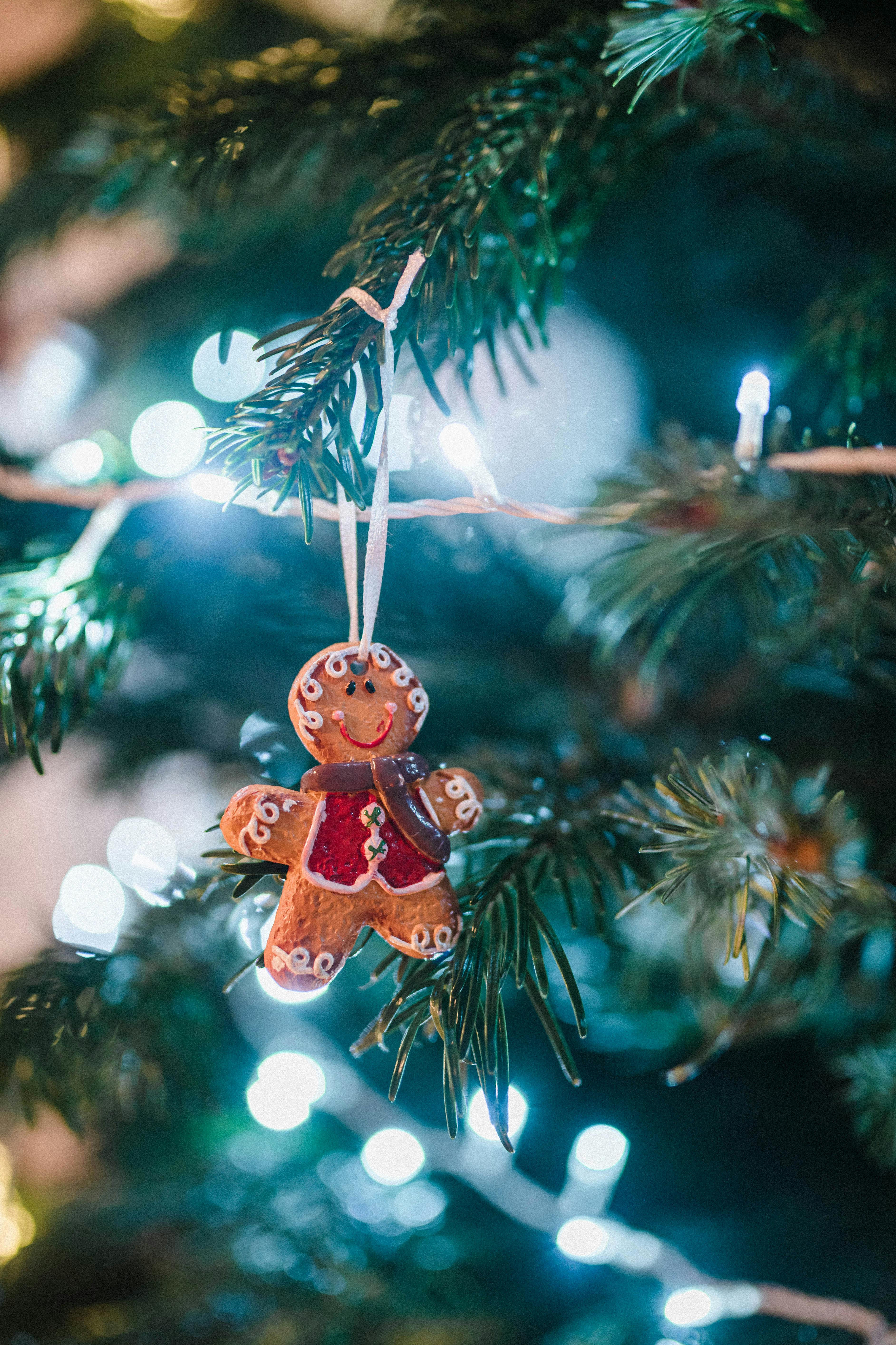 Close-up of gingerbread man ornament on a lit Christmas tree branch, evoking holiday warmth.