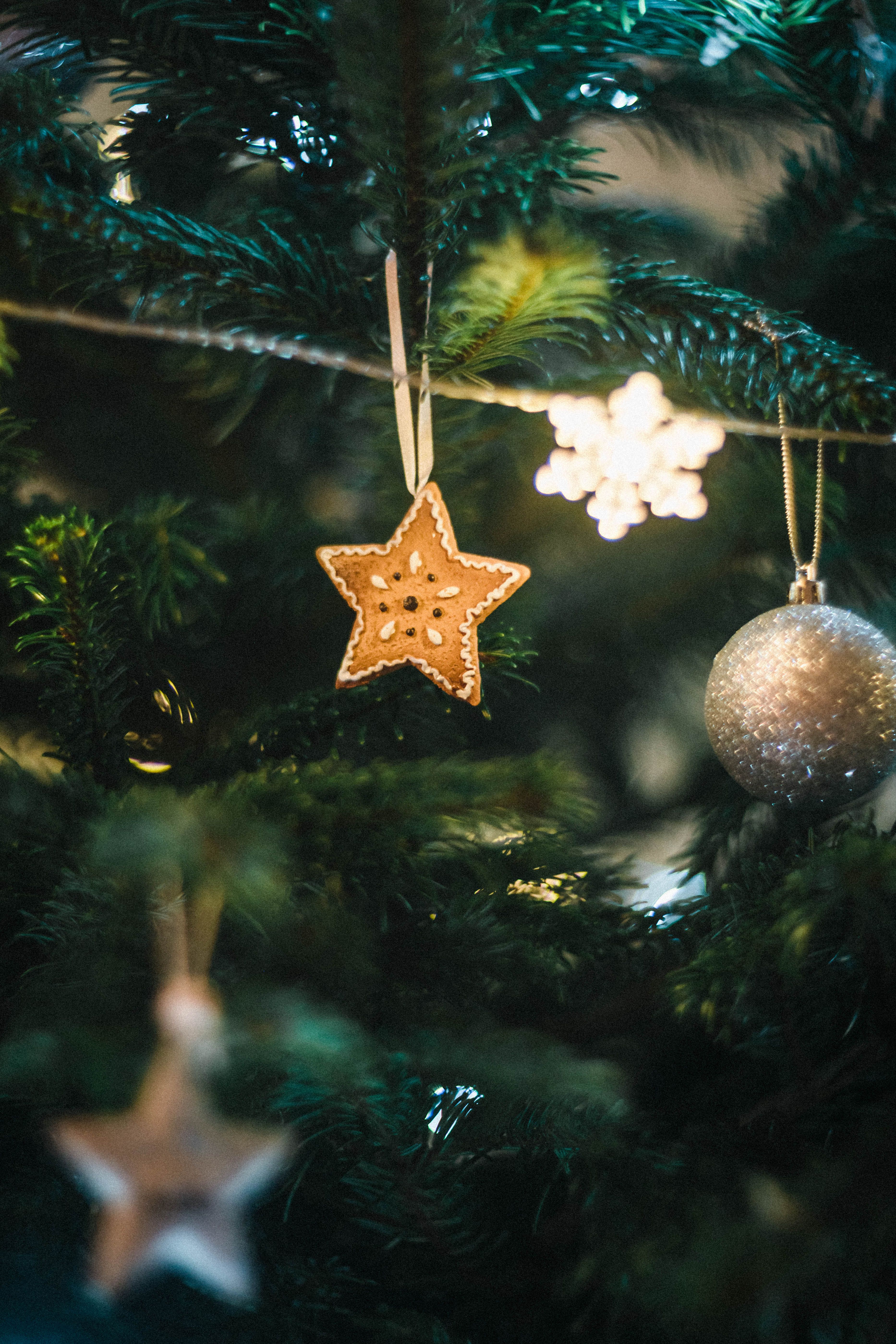 A close-up of a Christmas tree decorated with ornaments, featuring stars and baubles.