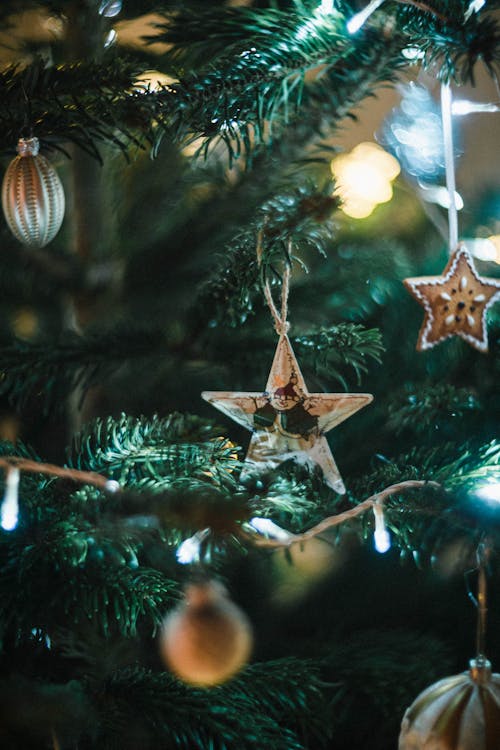 無料 クリスマスツリー, クリスマスの灯り, クリスマスの飾りの無料の写真素材 写真素材