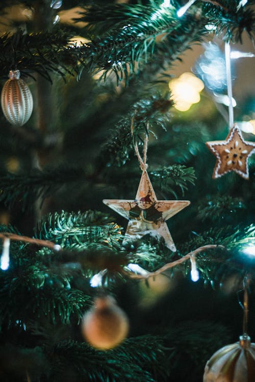 Close-Up Shot of a Star on a Christmas Tree