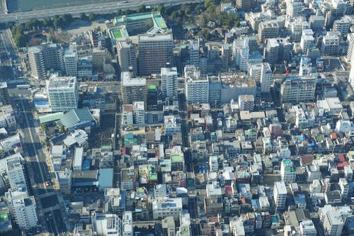 屋上の無料の写真素材