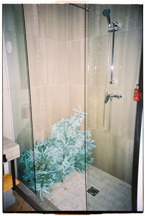 Free Fake Plant in a Shower Stall Stock Photo