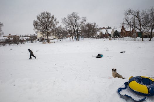 A winter scene with a dog, person, and snow tube in a snowy field.
