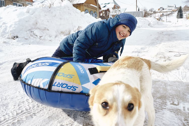 Close-Up Shot Of A Kid And A Dog Playing On Snow